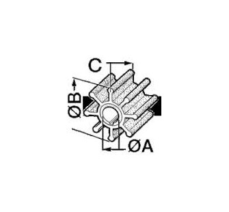 GIRANTE MOTORI FUORIBORDO HONDA